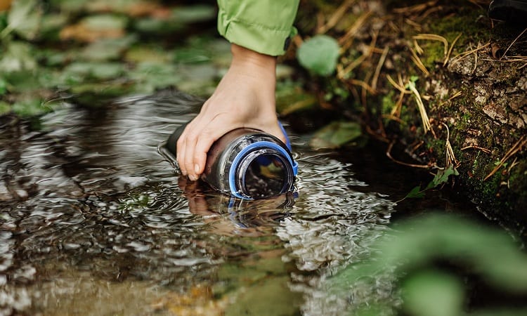 FOOD AND WATER