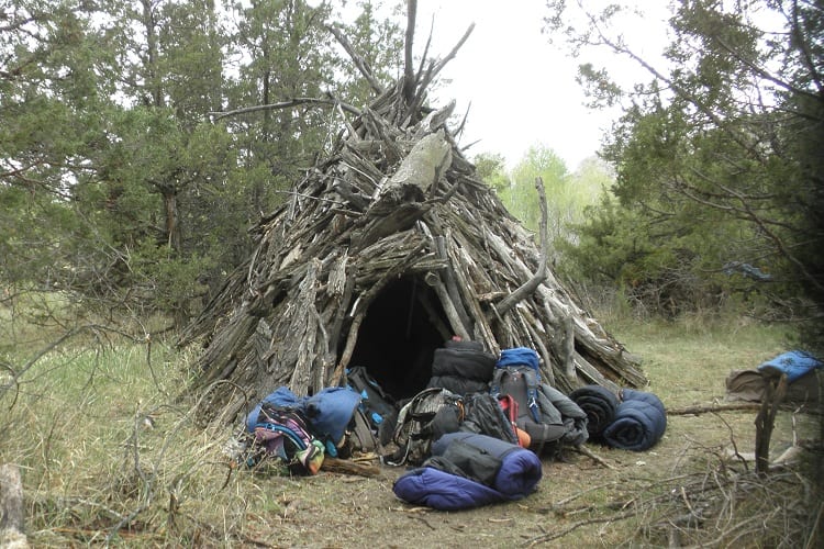 SHELTER-BUILDING SKILLS