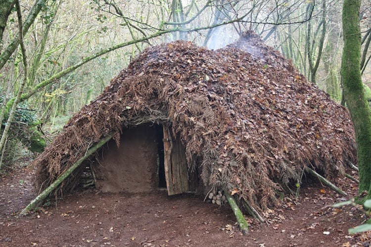 BUILDING SHELTER