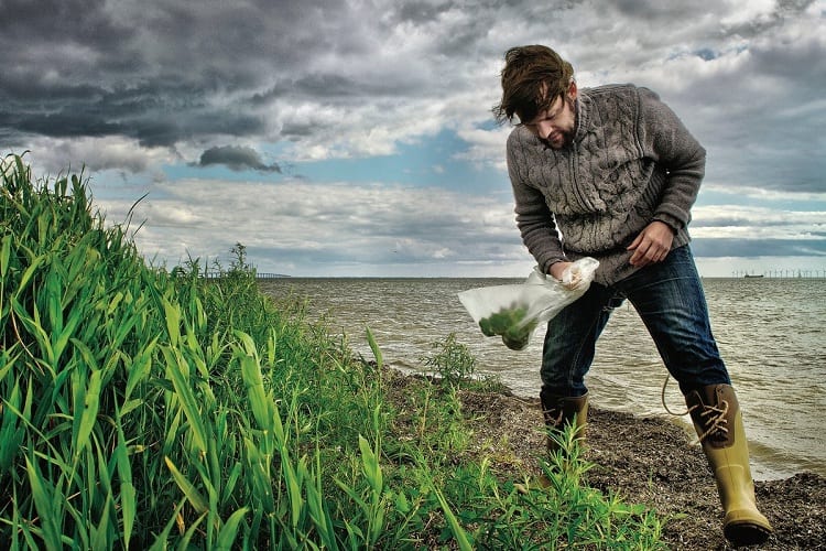 LEARNING TO FORAGE FOR FOOD